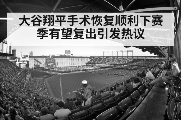 baseball stadium crowd